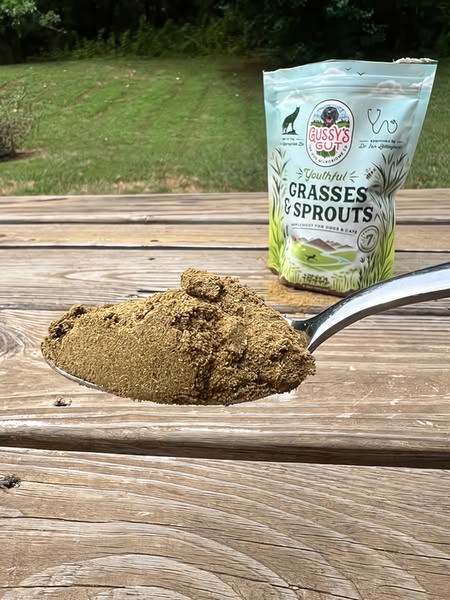 This creative showcases a spoonful of dog supplement powder held in front of the product packaging to emphasize texture and natural ingredients.